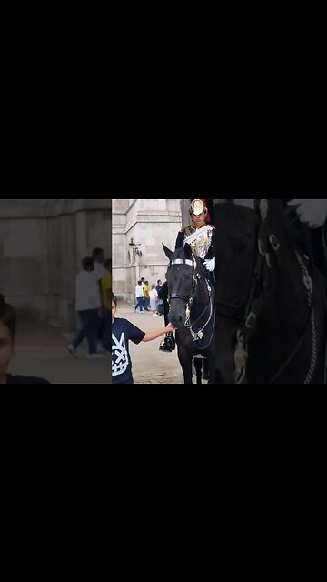 Let go kid #horseguardsparade