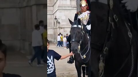 Let go kid #horseguardsparade