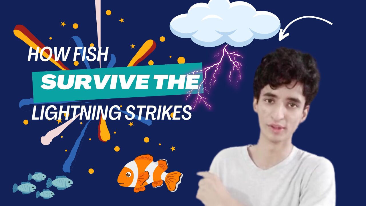 How Fish Escape The Lightning Strikes