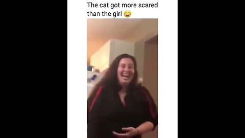 PLAYING CAT VIDEO MEAWWW