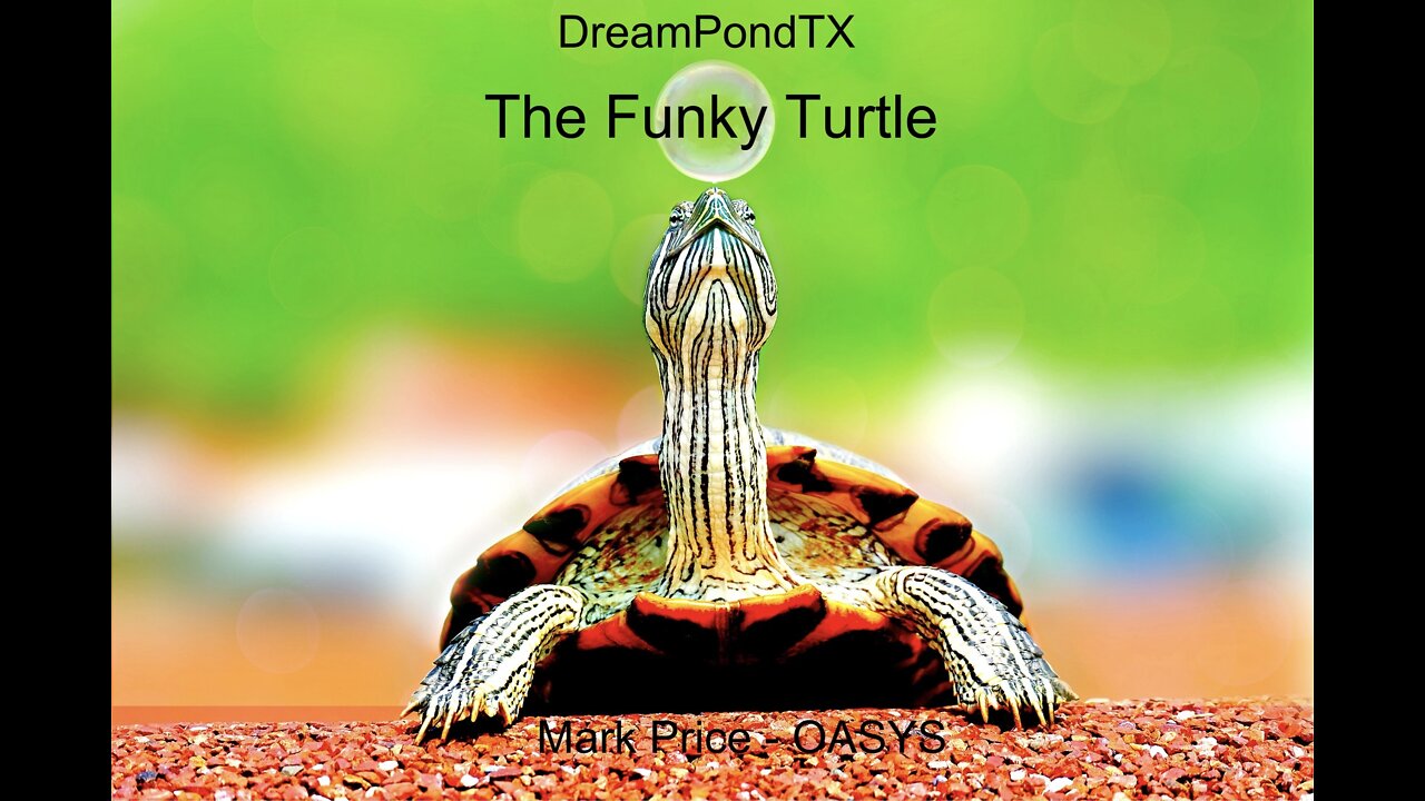 DreamPondTX/Mark Price - The Funky Turtle (OASYS at the Pond)