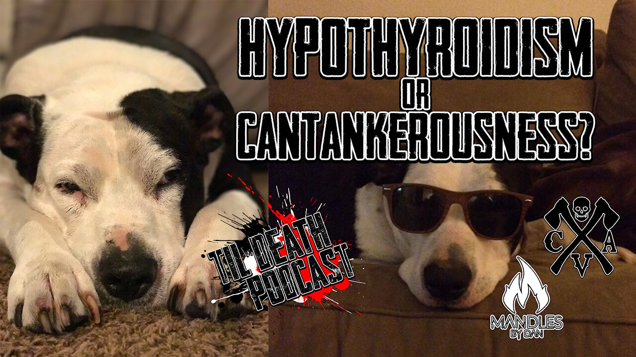 Hypothyroidism or Cantankerousness? | Til Death Podcast | CLIP