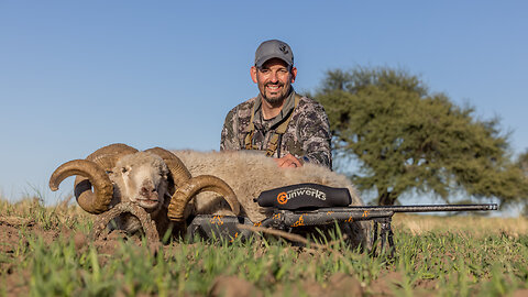 Hunting 4 Horn Ram in Argentina | Mark V. Peterson Hunting