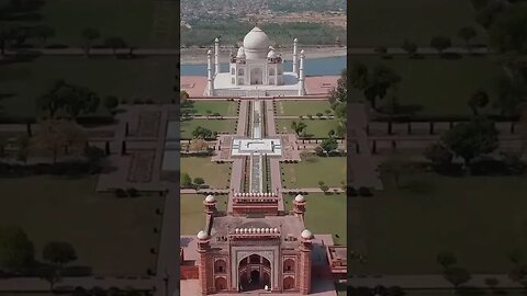 Taj Mehl #earnmoneyonline #viral