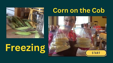 Freezing Corn on the Cob