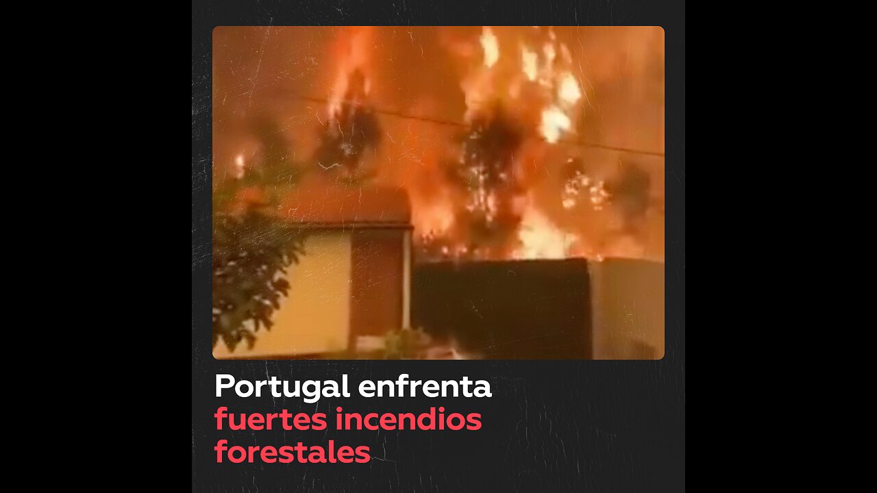Incendios forestales continĂșan devastando Portugal
