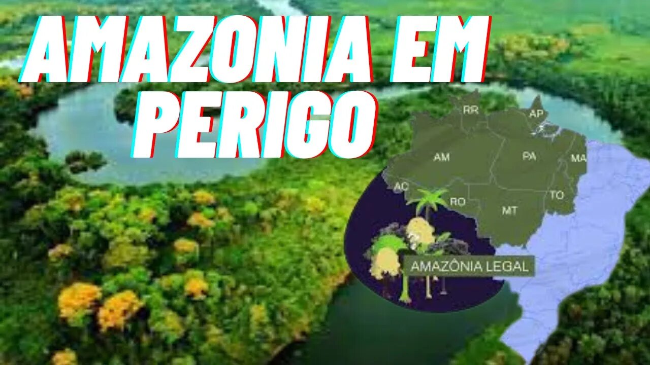 URGENTE AMAZONIA EM PERIGO - Isso é muito sério! precisa ser investigado urgente!