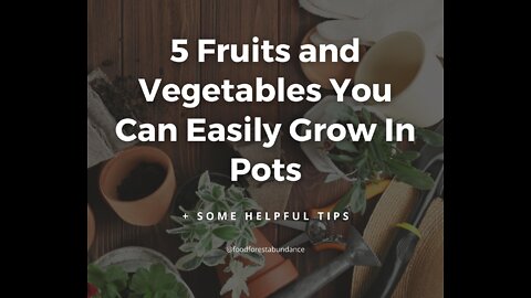 5 Vegetables You Can Easily Grow In Pots