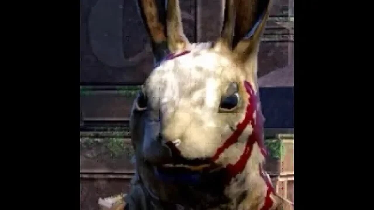 Overgrowth: A Deranged Rabbit Massacre