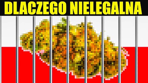 DLACZEGO ZIOŁO JEST NIELEGALNE?