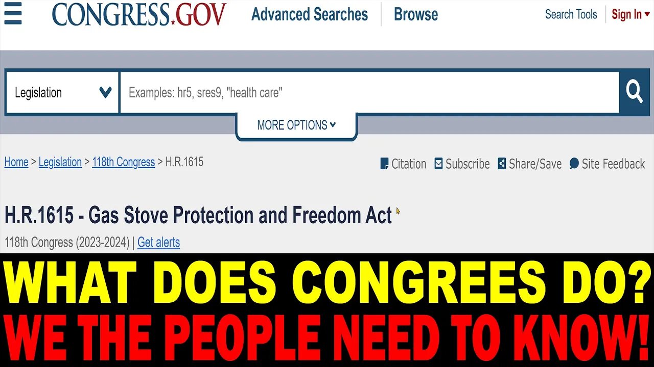 What Does Congress Do?