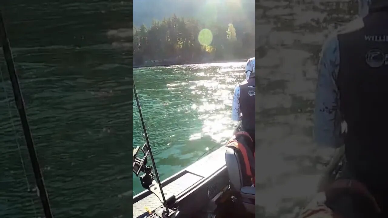 HOW TO REEL IN A FISH FOR BEGINNERS