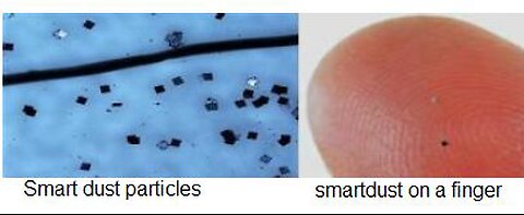 The Invasion of Nanotech (Morgellons/Smart Dust)