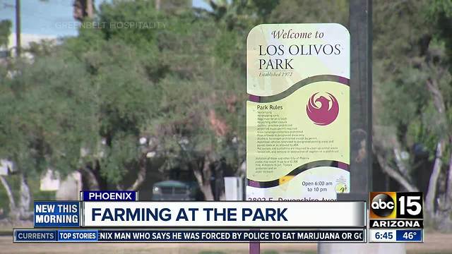 Los Olivos park could be home to urban farm, market