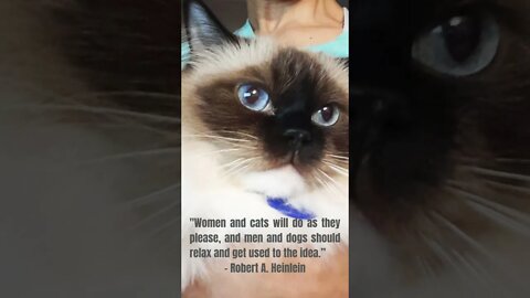 The similarities between women and cats