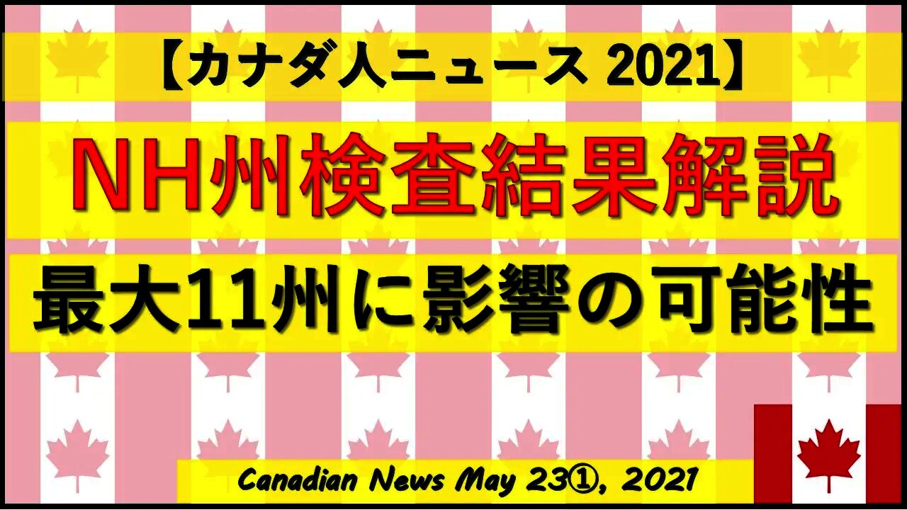 NH州検査途中結果解説 最大11州に影響の可能性