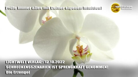 SCHRECKENSSZENARIEN IST SPRENGKRAFT GENOMMEN! - Die Erzengel ~ LWV