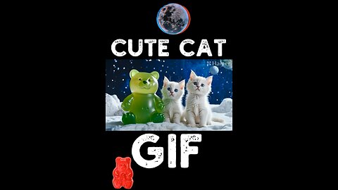 Cute Cat Gif