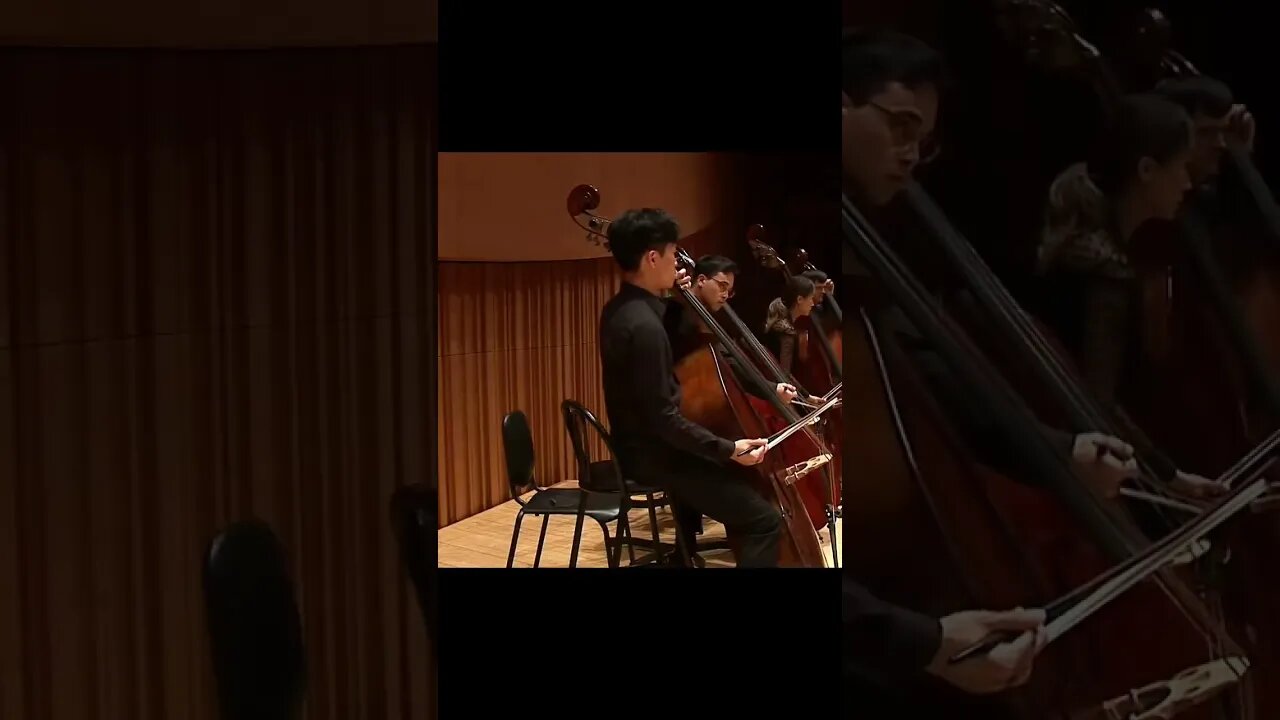 지휘자 없는 스트라빈스키 봄의제전 Stravinsky's Rite of Spring without a conductor