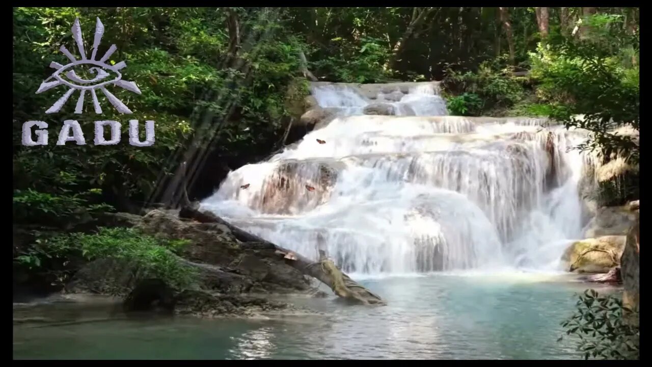 O que é a Felicidade -Lucia Helena Galvão #CORTES 4