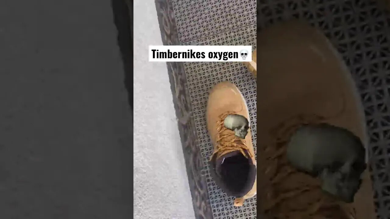 Timbernikes spotted in the wild (real)