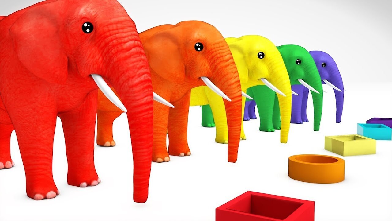 Learn Color Animals Elephant & Learn Shapes W Cartoon Nursery Rhymes Song for Kids