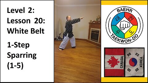 Baehr Taekwondo: Level 02 - Lesson 20 - Yellow Stripe - 1-Step Sparring (1-5)