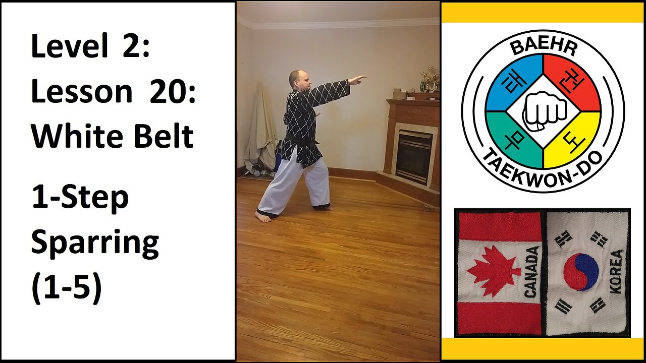 Baehr Taekwondo: Level 02 - Lesson 20 - Yellow Stripe - 1-Step Sparring (1-5)