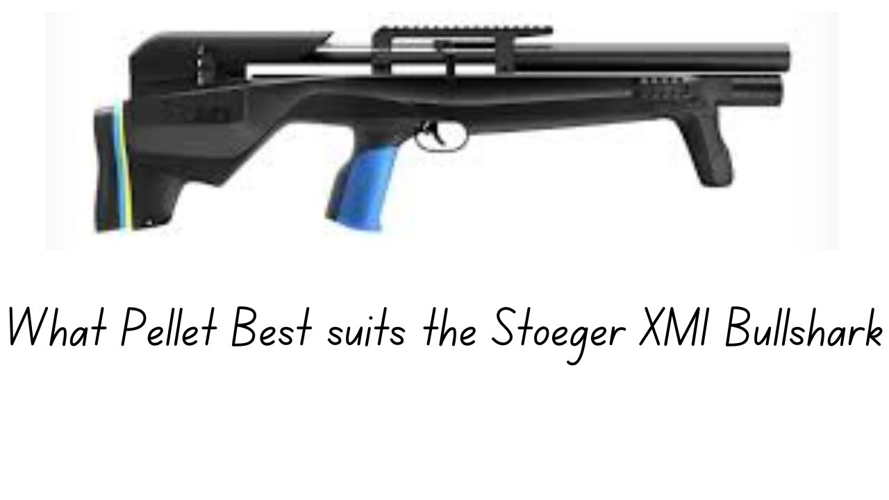 What Pellet best suits the Stoeger XM1 Bullshark