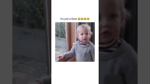 Just a goat 🐐 kid! #viral #shorts #tiktok #trending #youtubeshorts #fun #funny #music #funnyvideo