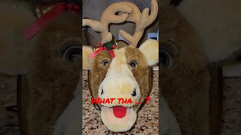 what tha ... ? #subscribe #deerseason