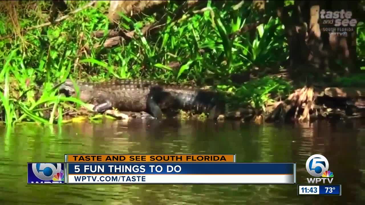 5 fun things to do this weekend