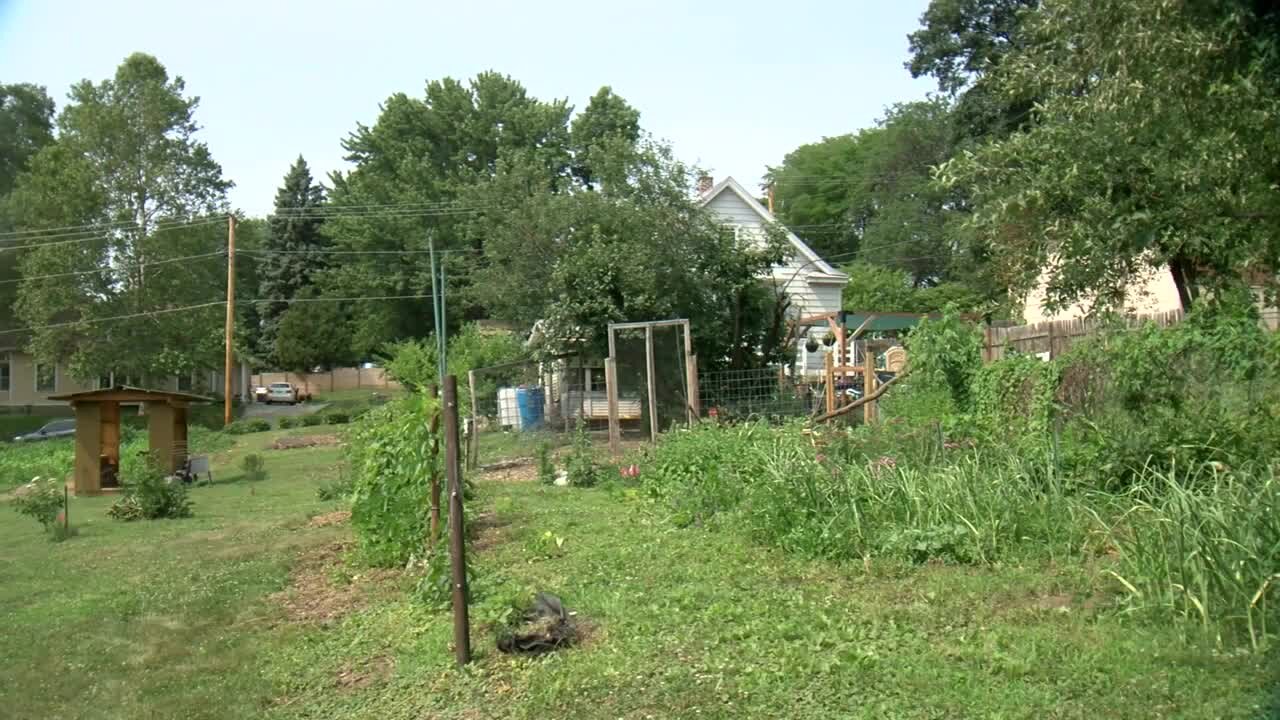 Urban farmers, nonprofit growing food forest in Benson