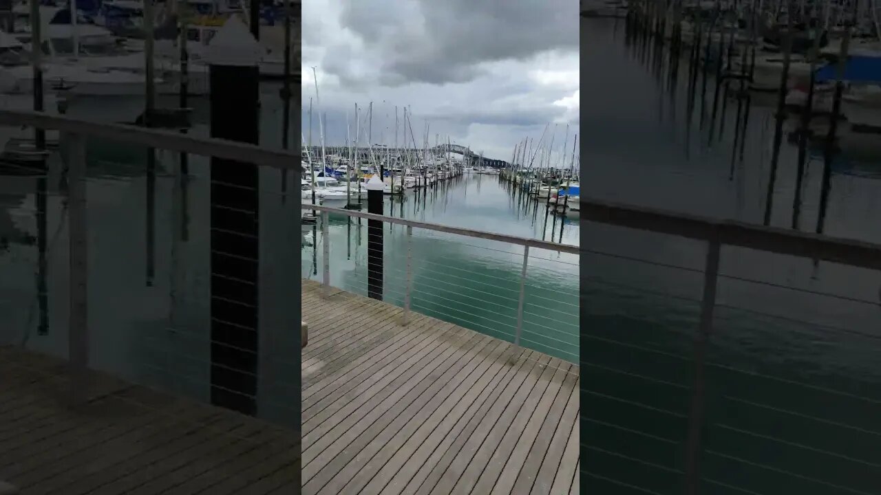 Westhaven marina boardwalk (1)