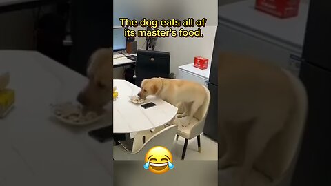 Very funny video 😂