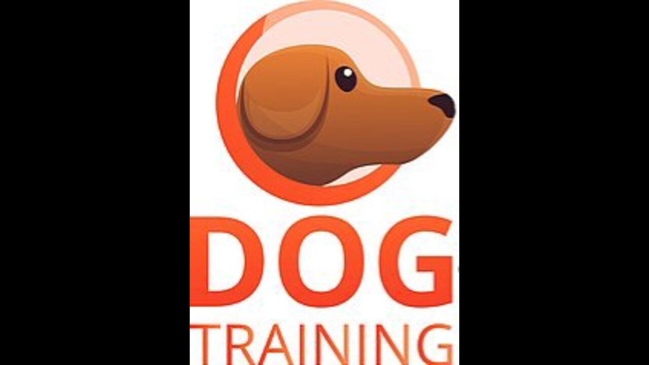 Dog Training