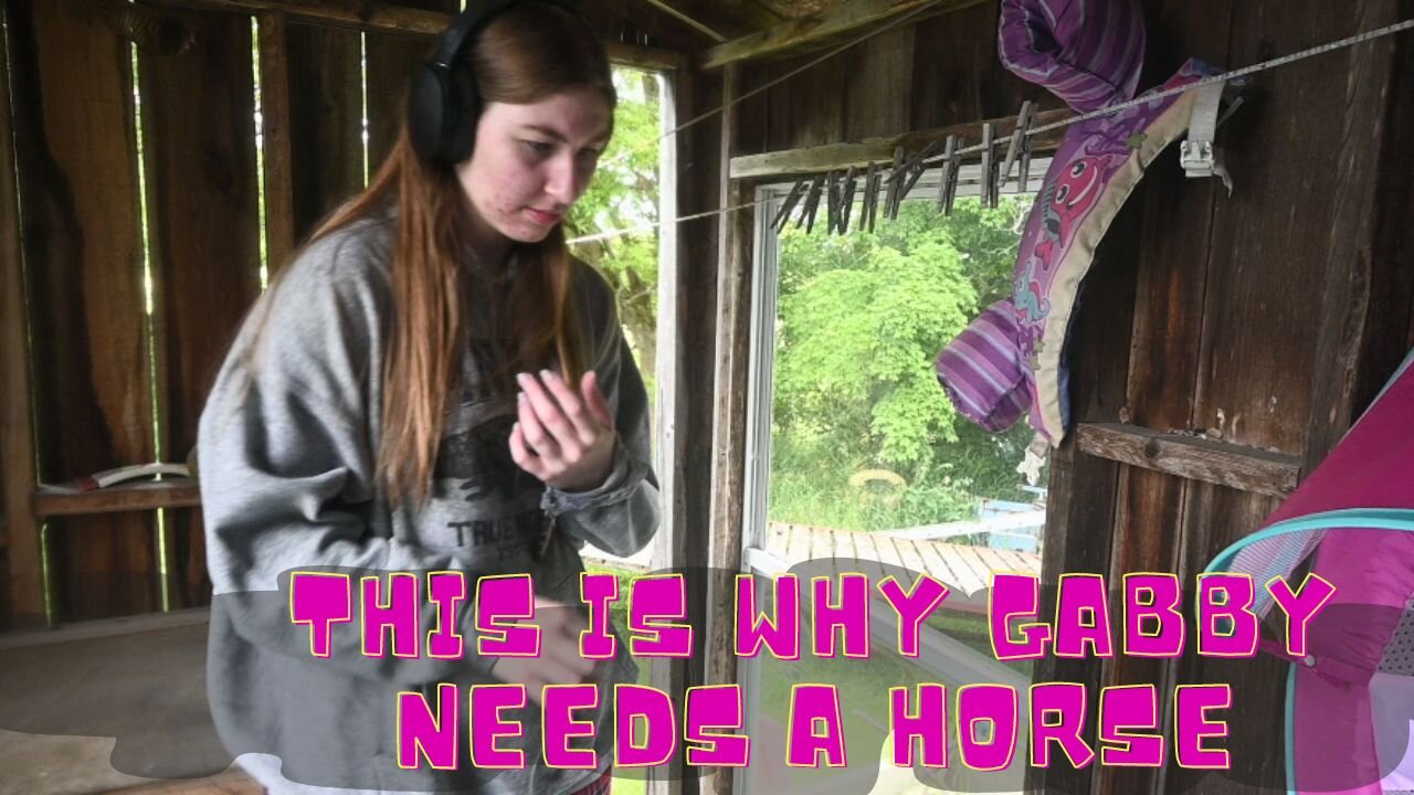 This Is Why We Have To Get Gabby A New Horse!