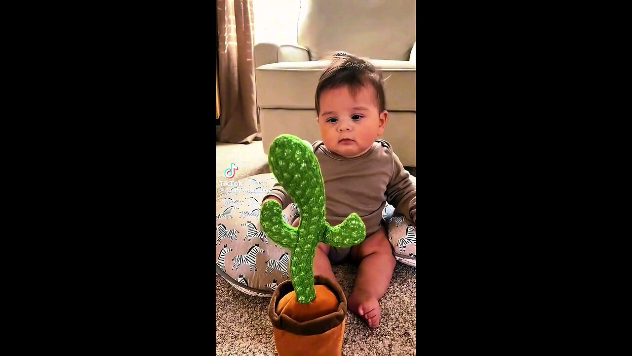 Funny Videos