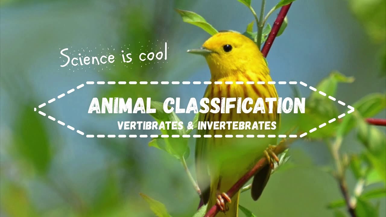 Science is cool - Animal Classification Vertebrates and Invertebrates