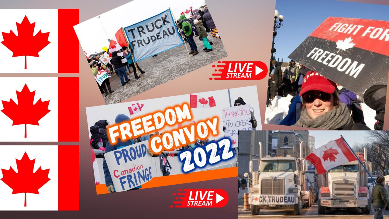 Live aus Ottawa Freedom Convoy Trucker