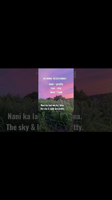 WIKI-HAWAIIAN LESSON