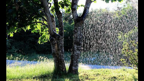 It Never Rains in Sunny Northern California