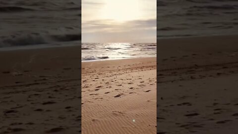 Surfs up