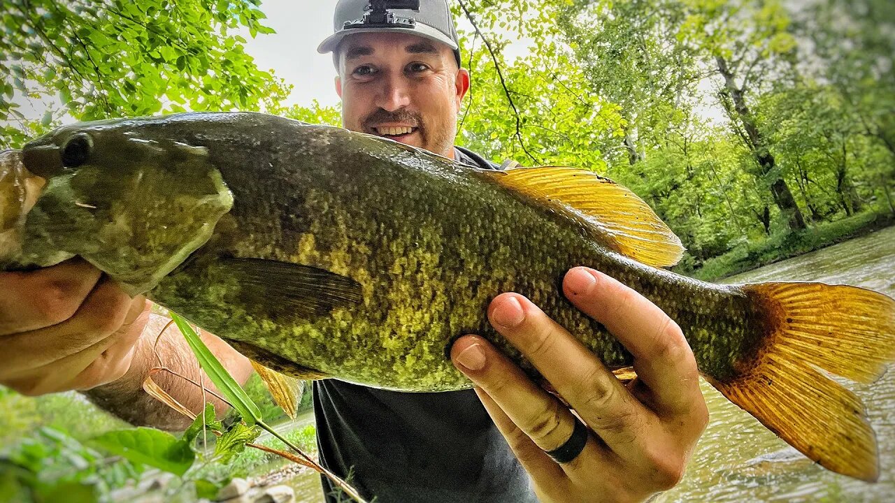 2023 Wading league CHAMPIONSHIPS! Did this MEGA smallmouth help me??