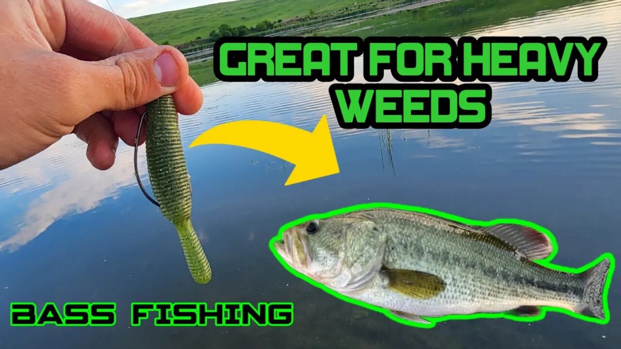 This Bait is a GAME CHANGER For BASS FISHING! #outdoors #fishing #bassfishing