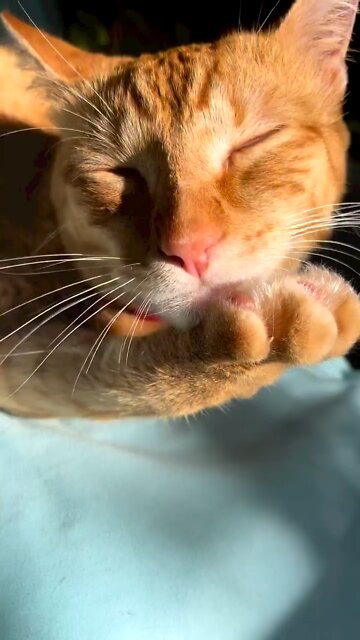 It’s a full time job