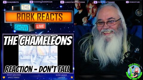 The Chameleons Reaction - Don't Fall - First Time Hearing - Requested