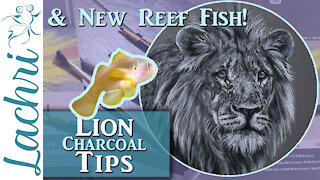 Realistic Charcoal Tips & New Reef Fish!!