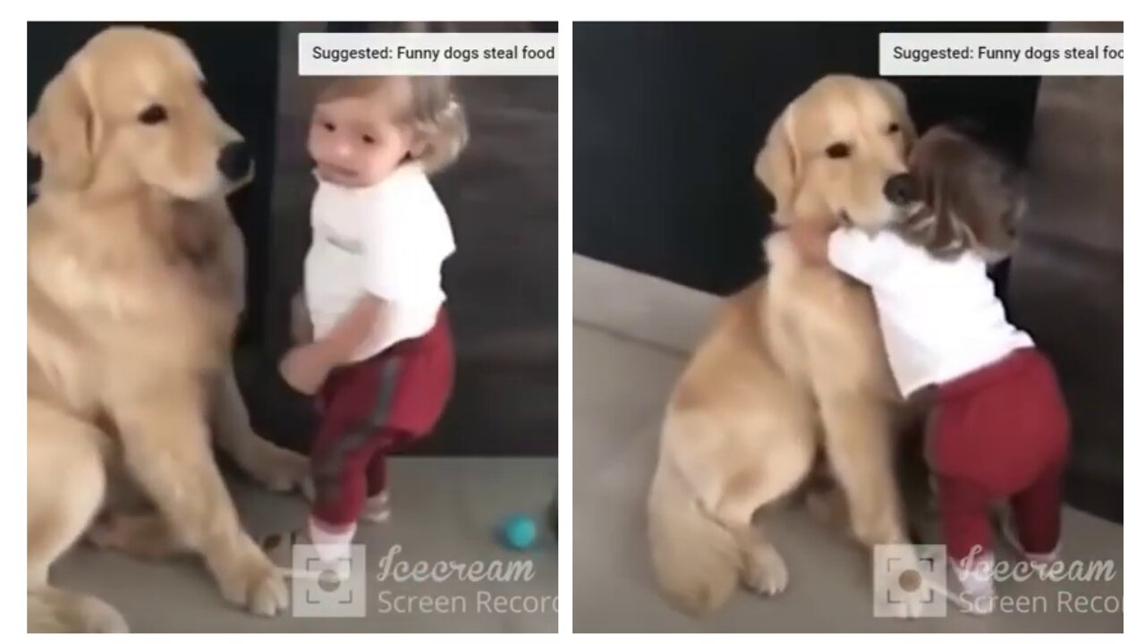 Toddler hugs her Dog before heading out to school