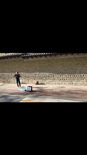 탁보니 덕수궁돌담길